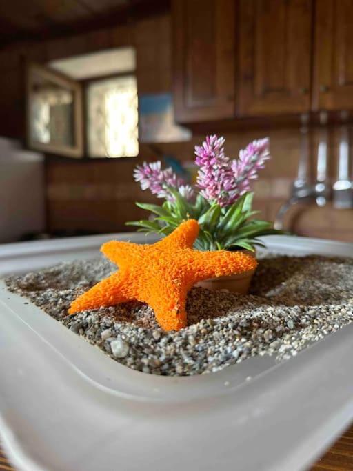 Stelladimare Naxos Appartement